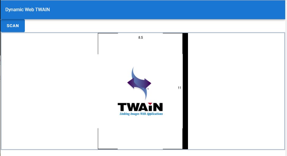 Functional WebTWAIN app:  result display